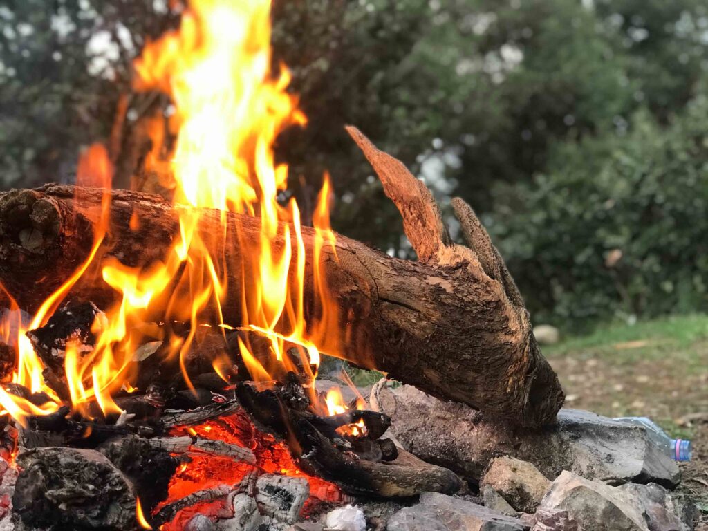 Et bål med store flammer tæt på skov.